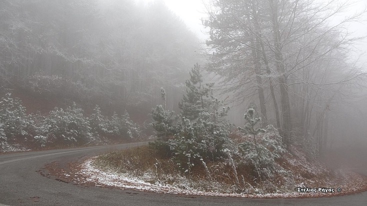 Στα λευκά ντύθηκαν οι ορεινές περιοχές της Χαλκιδικής – Πλήρως καλυμμένος από το χιόνι ο Χολομώντας, στα 650 μέτρα υψόμετρο. 