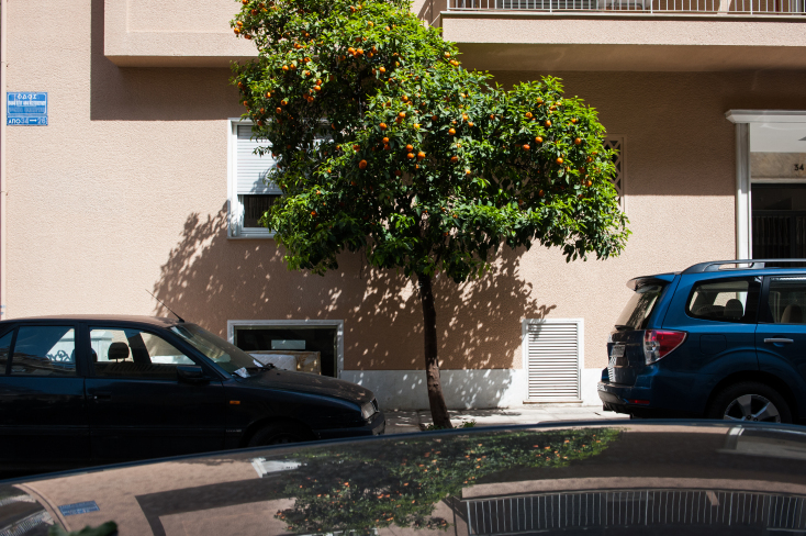 Νερατζιές στο Κολωνάκι