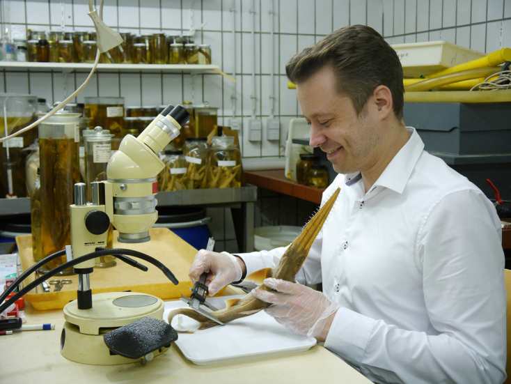 Νέο είδος εξαβράγχιου πριονοκαρχαρία ανακαλύφθηκε στον δυτικό Ινδικό Ωκεανό - Τα επιστημονικά ευρήματα και ο ρόλος των ψαράδων σε Μαδαγασκάρη και Τανζανία. 