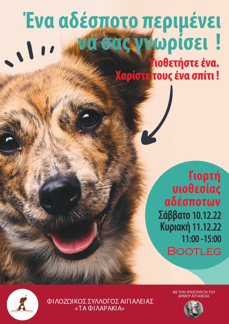 Γιορτή υιοθεσίας αδέσποτων σκυλιών