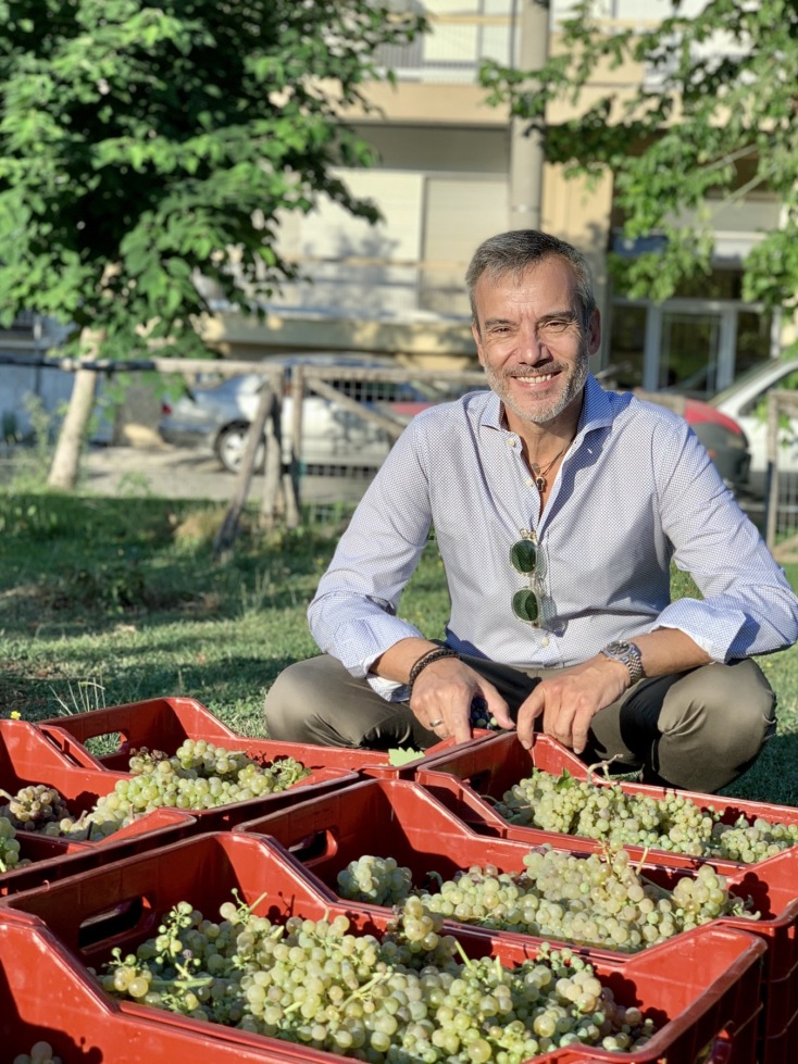 O Δήμαρχος του Δήμου Θεσσαλονίκης Κωνσταντίνος Ζέρβας στον αστικό αμπελώνα