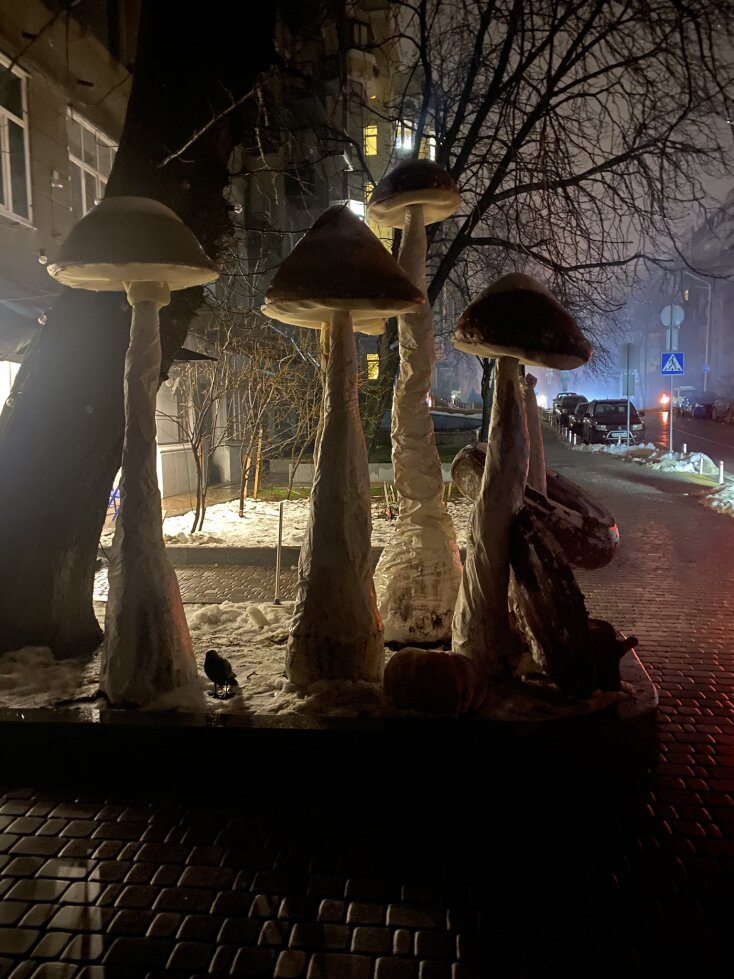 Tymofiy Mylovanov: Ένας καθηγητής στο Κίεβο, διδάσκει