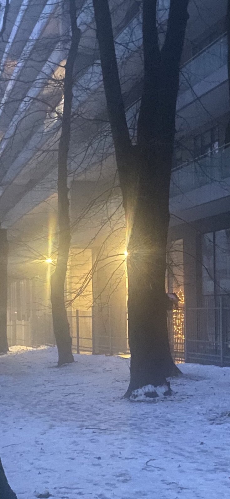 Tymofiy Mylovanov: Ένας καθηγητής στο Κίεβο, διδάσκει