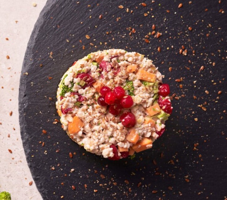 Τροφή σκύλου NOMA