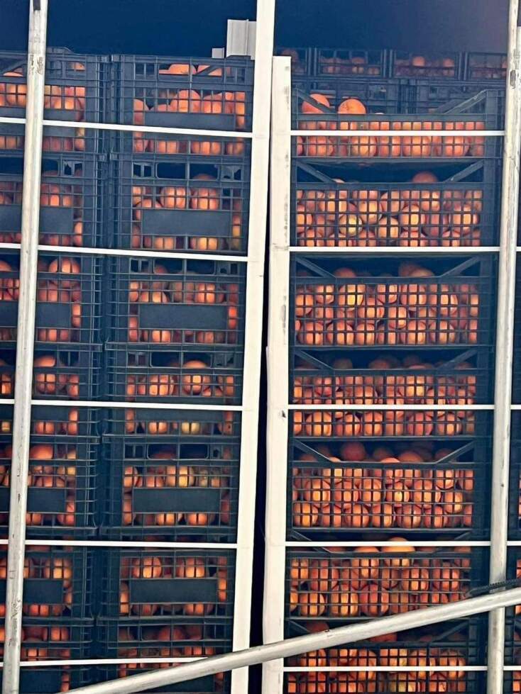 40 τόνοι πορτοκάλια – Η δράση δωρεών ελληνικών εταιριών για τους ουκρανούς στρατιώτες