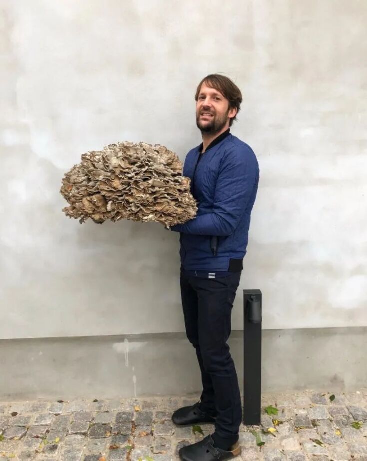Rene Redzepi