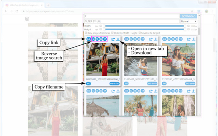 Image Downloader Continued (Chrome/Edge)
