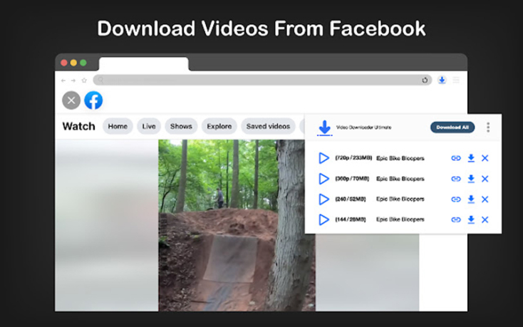 Video Downloader Ultimate (Chrome/Edge)