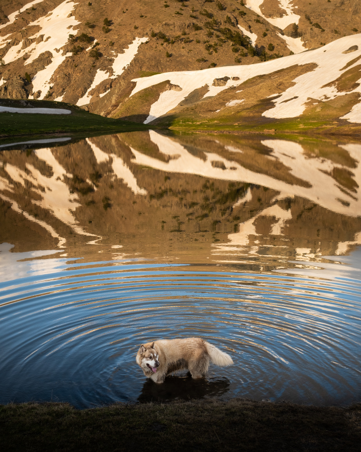 Έκτορας, η μασκότ του ορειβατικού ξενώνα «Munti Smolikas»