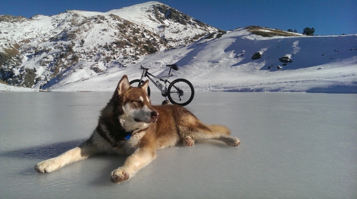 Έκτορας, η μασκότ του ορειβατικού ξενώνα «Munti Smolikas»