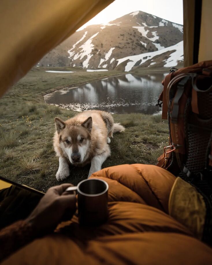 Έκτορας, η μασκότ του ορειβατικού ξενώνα «Munti Smolikas»