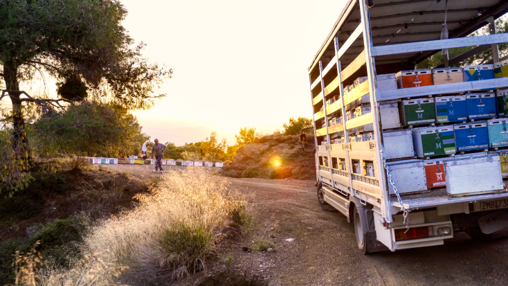 Μελισσοκομία