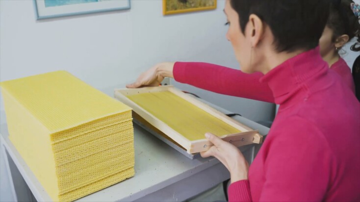 Μελισσοκομία