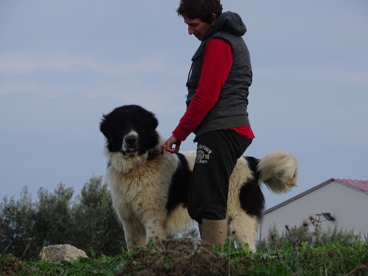 Φρουροί των Αγράφων