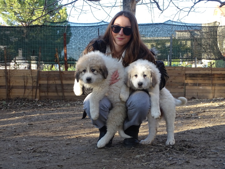 Φρουροί των Αγράφων