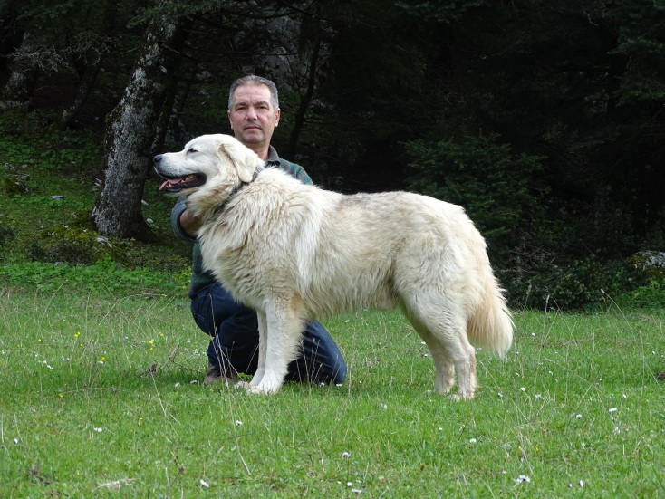 Φρουροί των Αγράφων