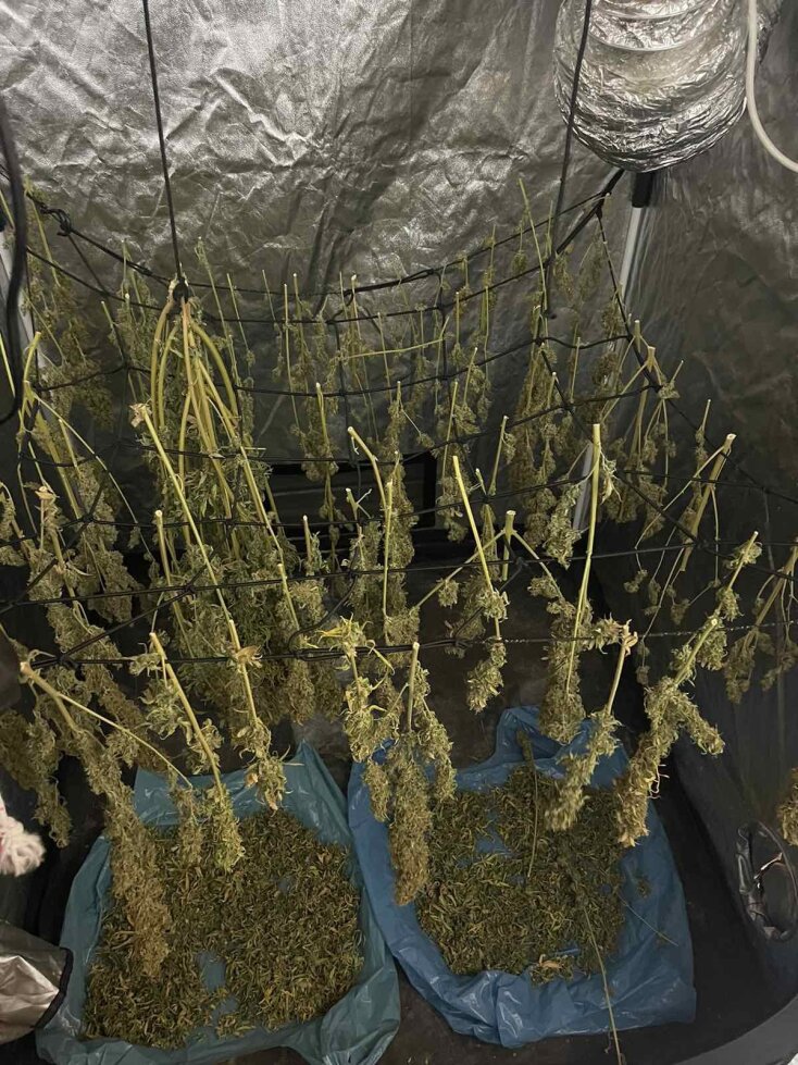 Πάτρα: Εικόνες από τη γιάφκα των 7 ληστών - Όπλα, εκρηκτικά, 18 κιλά κάνναβης και βιβλία για τον αναρχισμό εντόπισαν οι Αρχές.