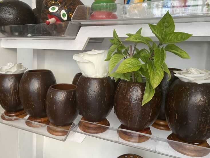 Χρηστικά αντικείμενα από καρύδες