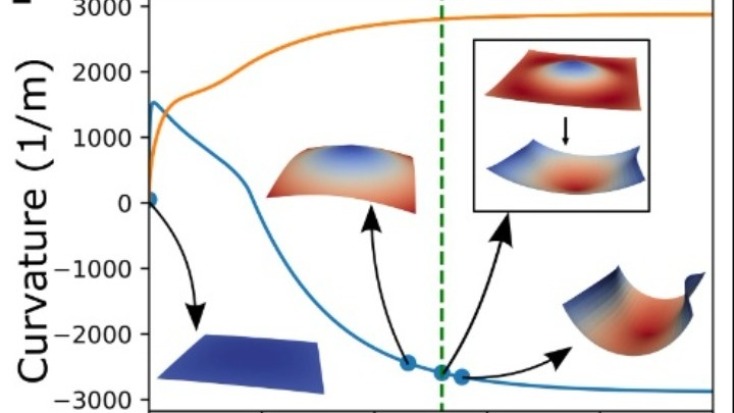 Μηχανικοί ανακάλυψαν υλικό που πηδάει σαν ακρίδα
