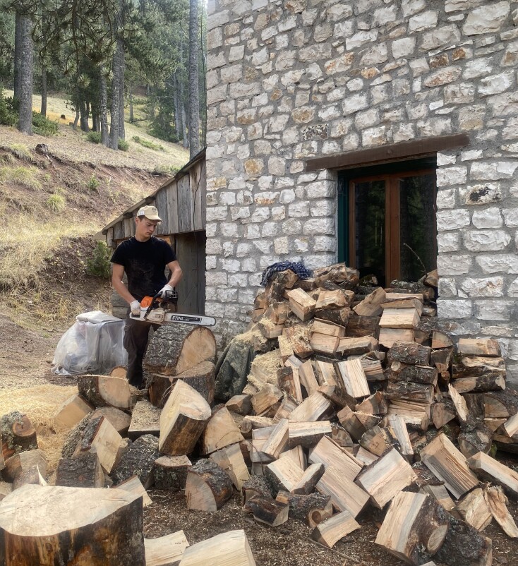 Κόψιμο ξύλων