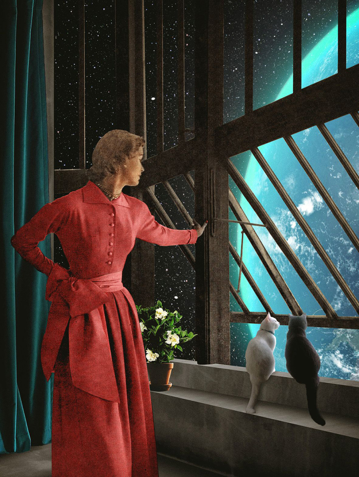 «Cats in Orbit». Γιάννης Ρουσάκης