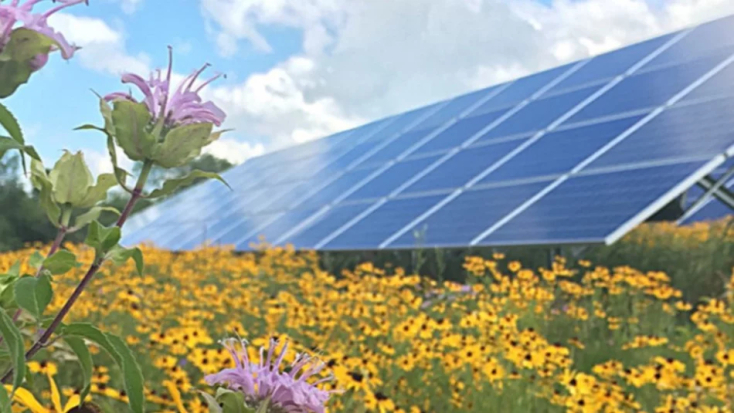 Τα φωτοβολταϊκά μπορούν να συνδυαστούν με τη μελισσοκομία αφού προστατεύουν από τις καιρικές συνθήκες, αυξάνουν την υγρασία και ευνοούν τη βιοποικιλότητα