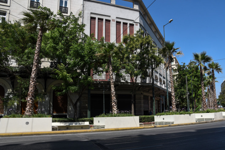 Φοίνικες στην Πανεπιστημίου 