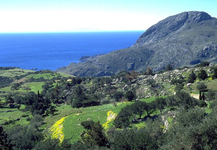 Υποβρύχιες φωτογραφίες του ναυαγίου σε αντιπαραβολή με τα σημεία αναγνώρισης και ταυτοποίησης.