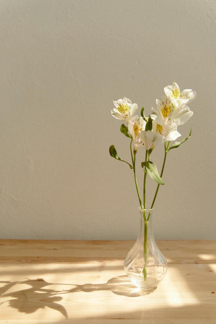 Τα λουλούδια ομορφαίνουν τον χώρο που ζούμε. Αυτοί είναι 6 τρόποι για να τα διατηρήσετε φρέσκα και ζωντανά για περισσότερο καιρό, μέσα στο βάζο τους. 