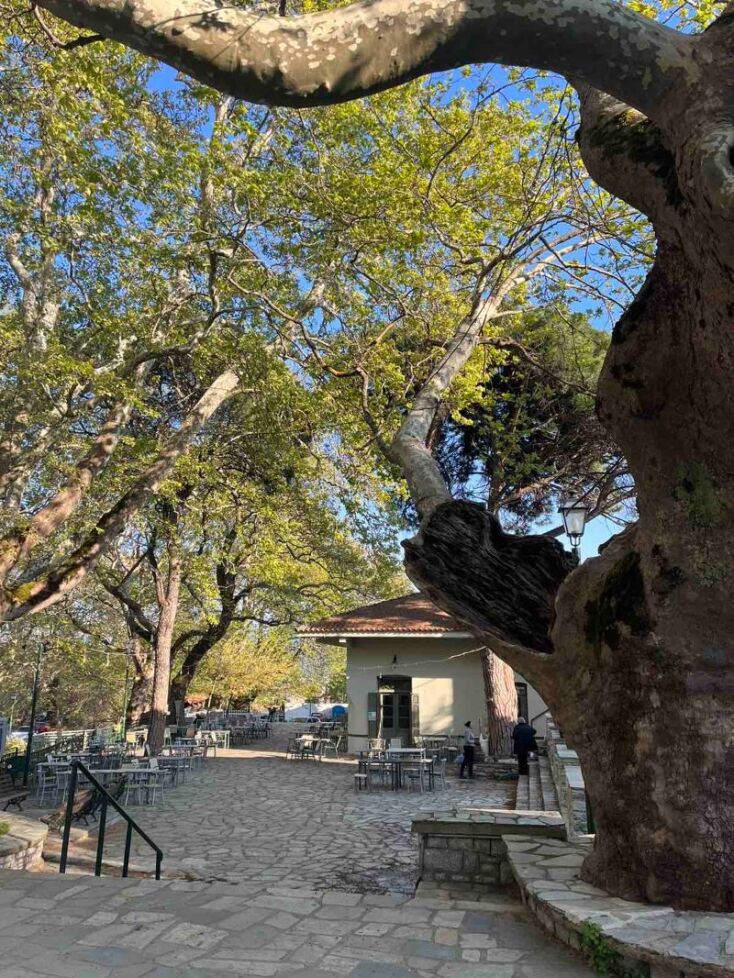 Μεταξοχώρι Αγιάς Λαρίσης