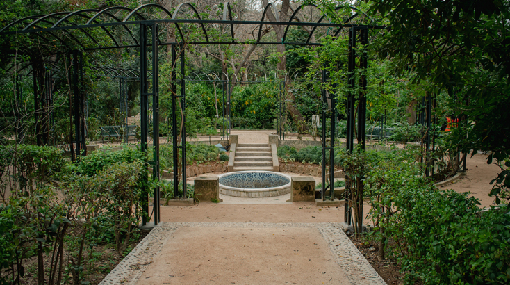 Εθνικός Κήπος