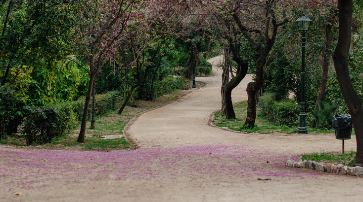 Εθνικός Κήπος