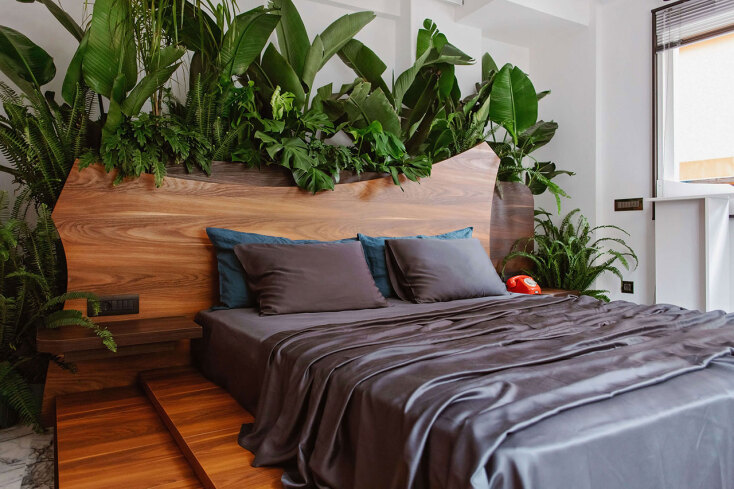 Το pop up project “Rainforest suite” του Αχιλλέα Κρητικού