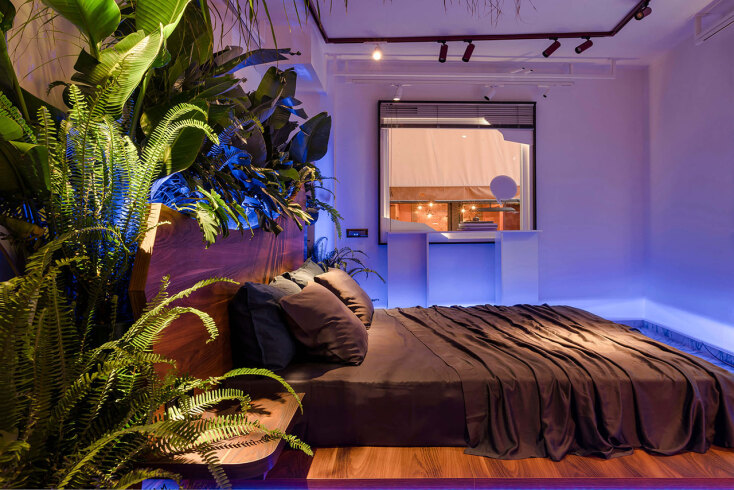 Το pop up project “Rainforest suite” του Αχιλλέα Κρητικού