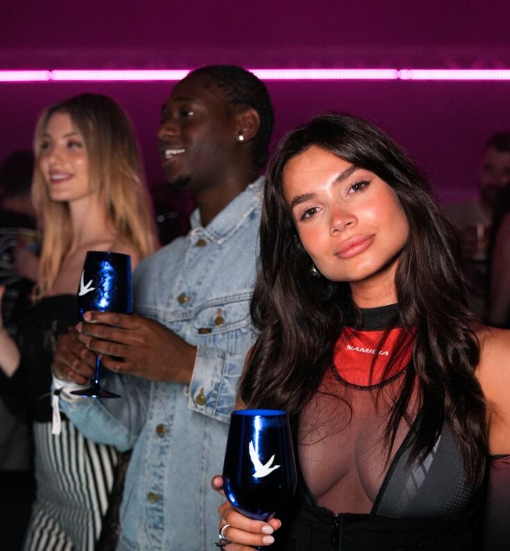 Ο πιο διάσημος DJ Black Coffee στο party με Grey Goose vodka