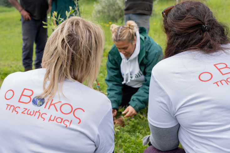 δενδροφύτευση 
