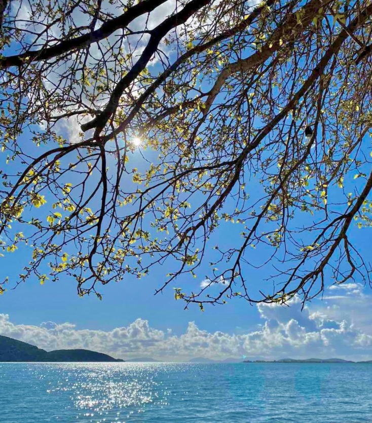 Ταξιδεύοντας στο Μπουένος Άιρες, τη Νέα Υόρκη, την Τήνο και την Ηγουμενίτσα: Ένα φωτογραφικό αφιέρωμα σε τέσσερα διαφορετικά σημεία της Γης.