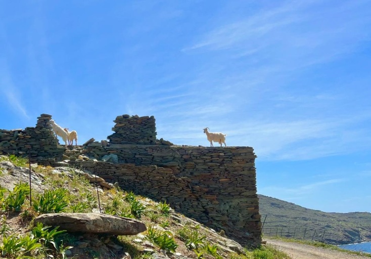 Ταξιδεύοντας στο Μπουένος Άιρες, τη Νέα Υόρκη, την Τήνο και την Ηγουμενίτσα: Ένα φωτογραφικό αφιέρωμα σε τέσσερα διαφορετικά σημεία της Γης.
