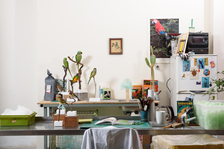 Γιώργος Γεροντίδης, «A flock of fakes: ορισμοί του μη φυσικού»