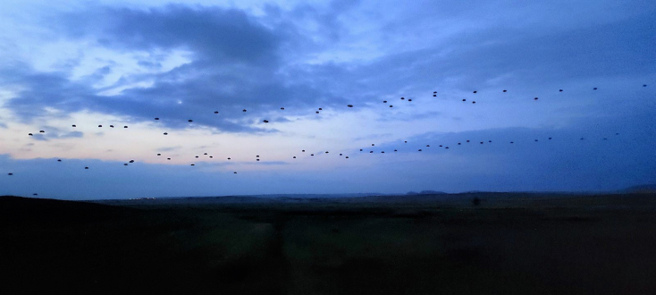 Εντυπωσιακές εικόνες από την Observation Day της πολυεθνικής άσκησης «Swift Response 23»