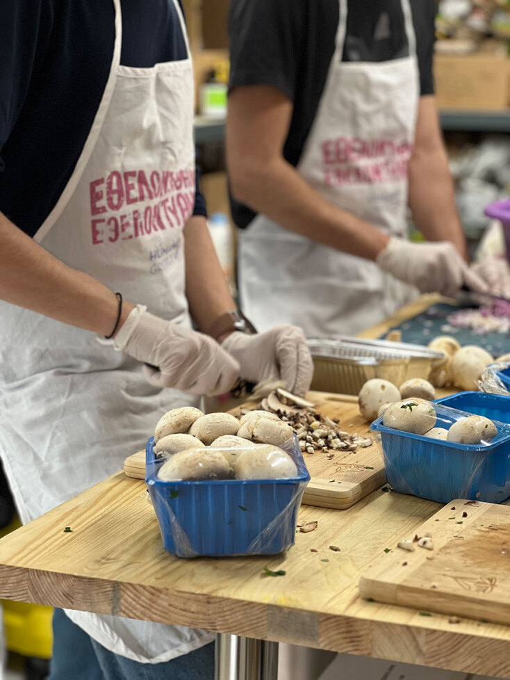 Εθελοντές του Humanity Greece κόβουν μανιτάρια