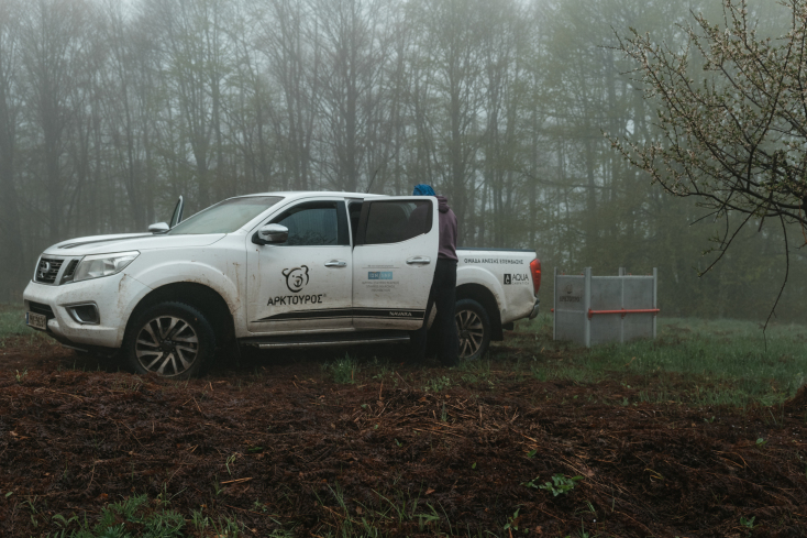 Eπανένταξη αρκούδας από τον Αρκτούρο