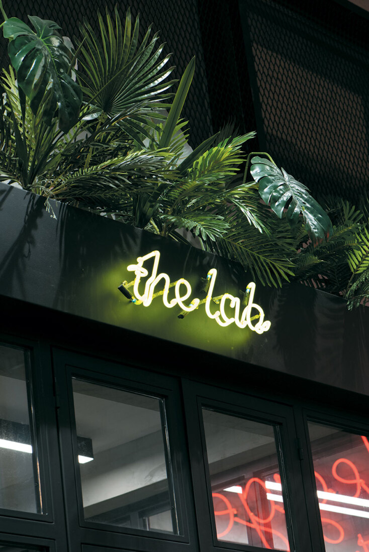 Bootlegger The Project