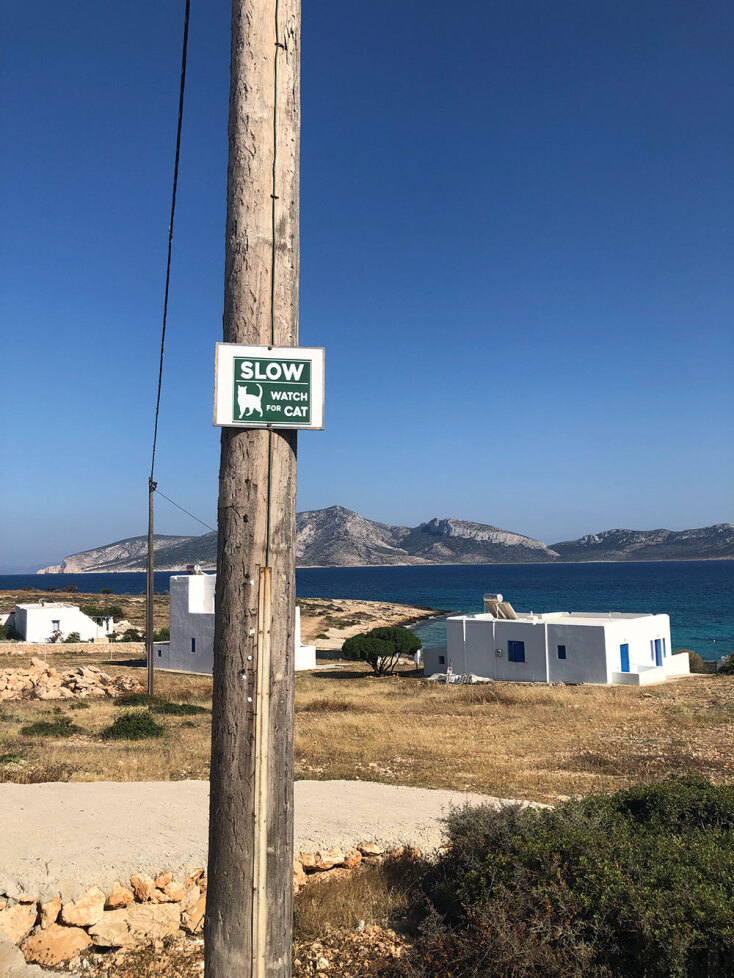 «Προσοχή, διέλευση γατών!» (πινακίδα στο Κουφονήσι)
