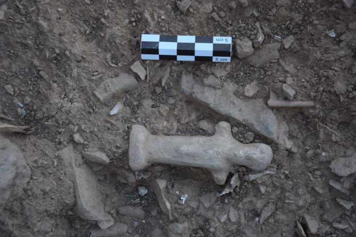 Κύθνος: Σημαντικά τα αποτελέσματα της ανασκαφικής έρευνας στο Βρυόκαστρο - Οι εργασίες της τελευταίας περιόδου εστίασαν στα κτίρια της Ακρόπολης. 