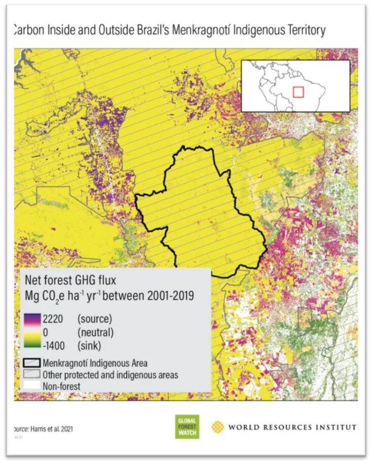 Τα δάση σύμμαχος απέναντι στην κλιματική αλλαγή