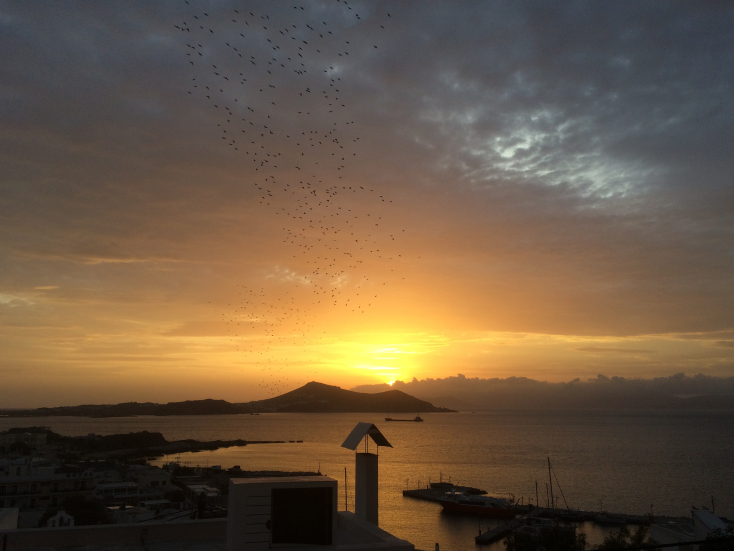 Naxos 13-18: The Photo Exhibition: εικόνα του Θησέα Παπανικολάου
