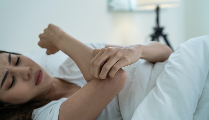  Σε 25 περιοχές του Βελγίου εντοπίστηκε το κουνούπι τίγρης