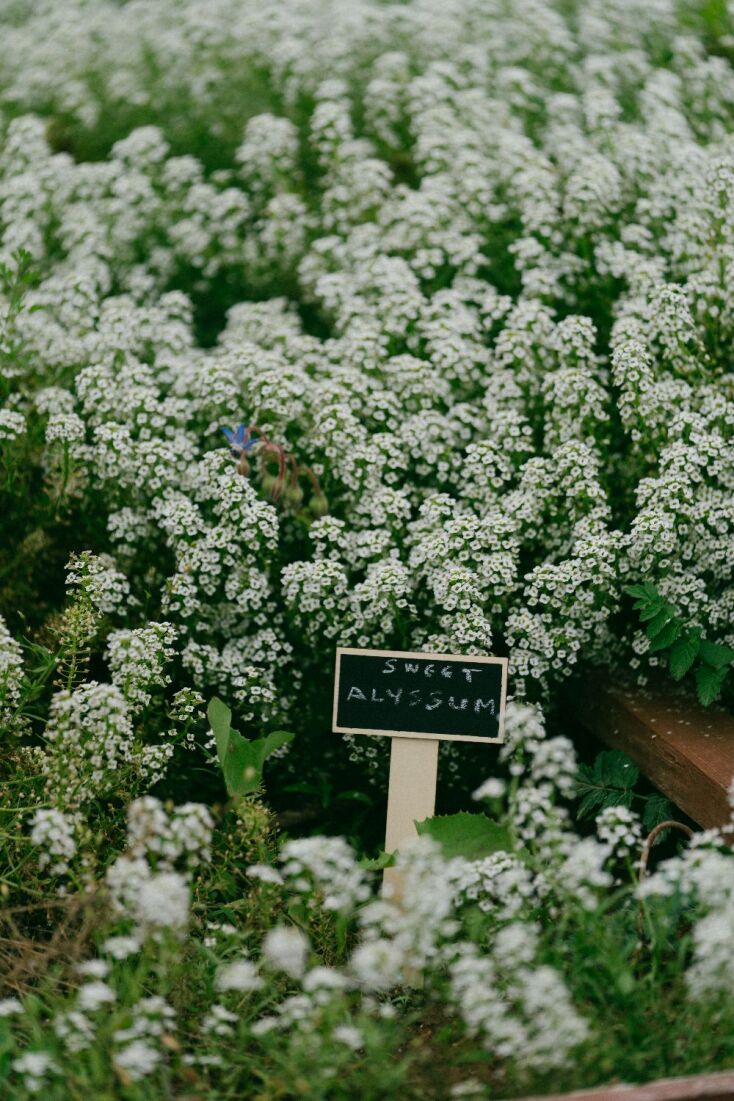 Alepochori Experience 