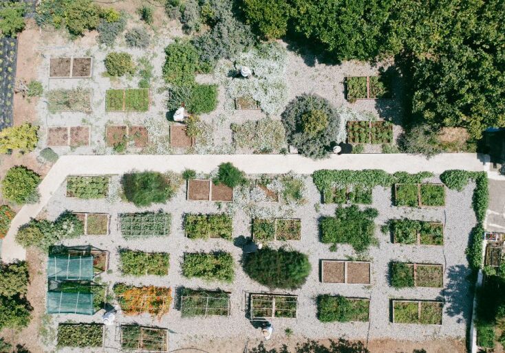 Alepochori Experience 